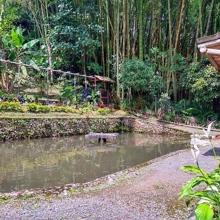 Finca Turistica Los Rosales เปเรย์รา ภายนอก รูปภาพ