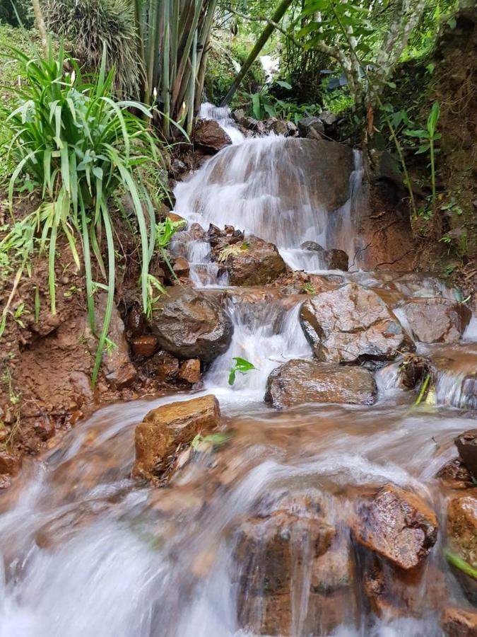 Finca Turistica Los Rosales เปเรย์รา ภายนอก รูปภาพ